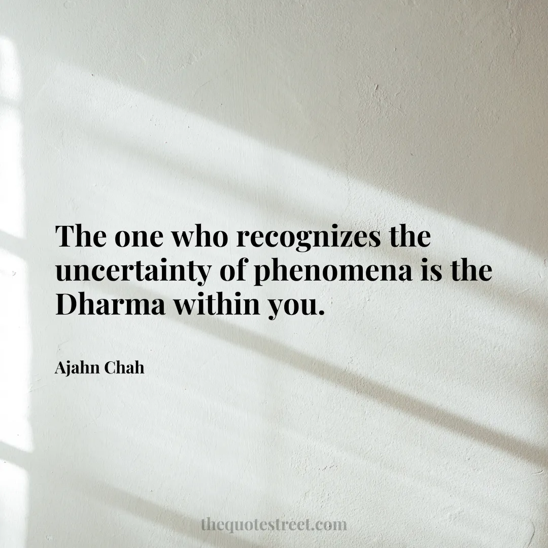 The one who recognizes the uncertainty of phenomena is the Dharma within you. - Ajahn Chah