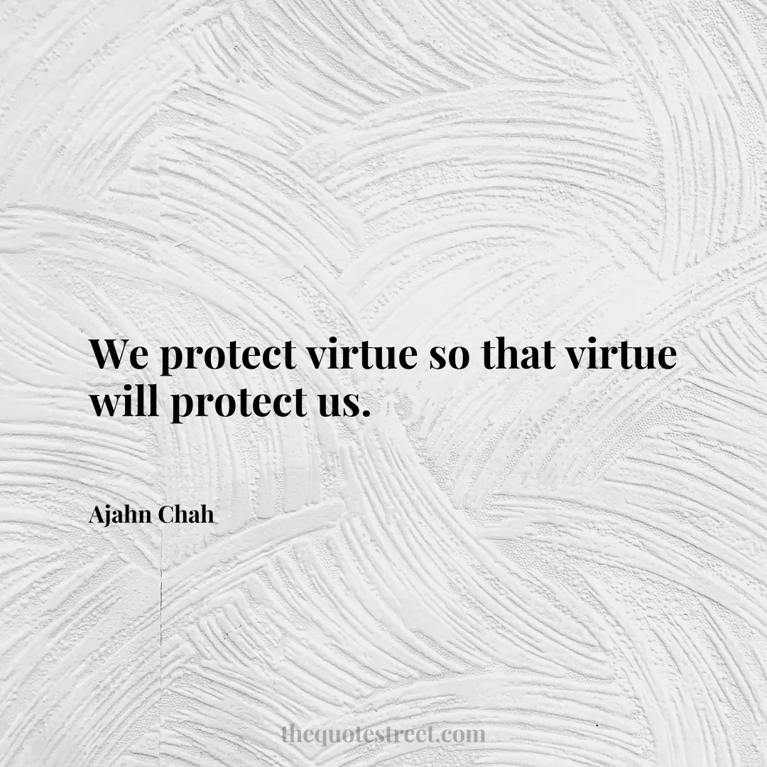 We protect virtue so that virtue will protect us. - Ajahn Chah