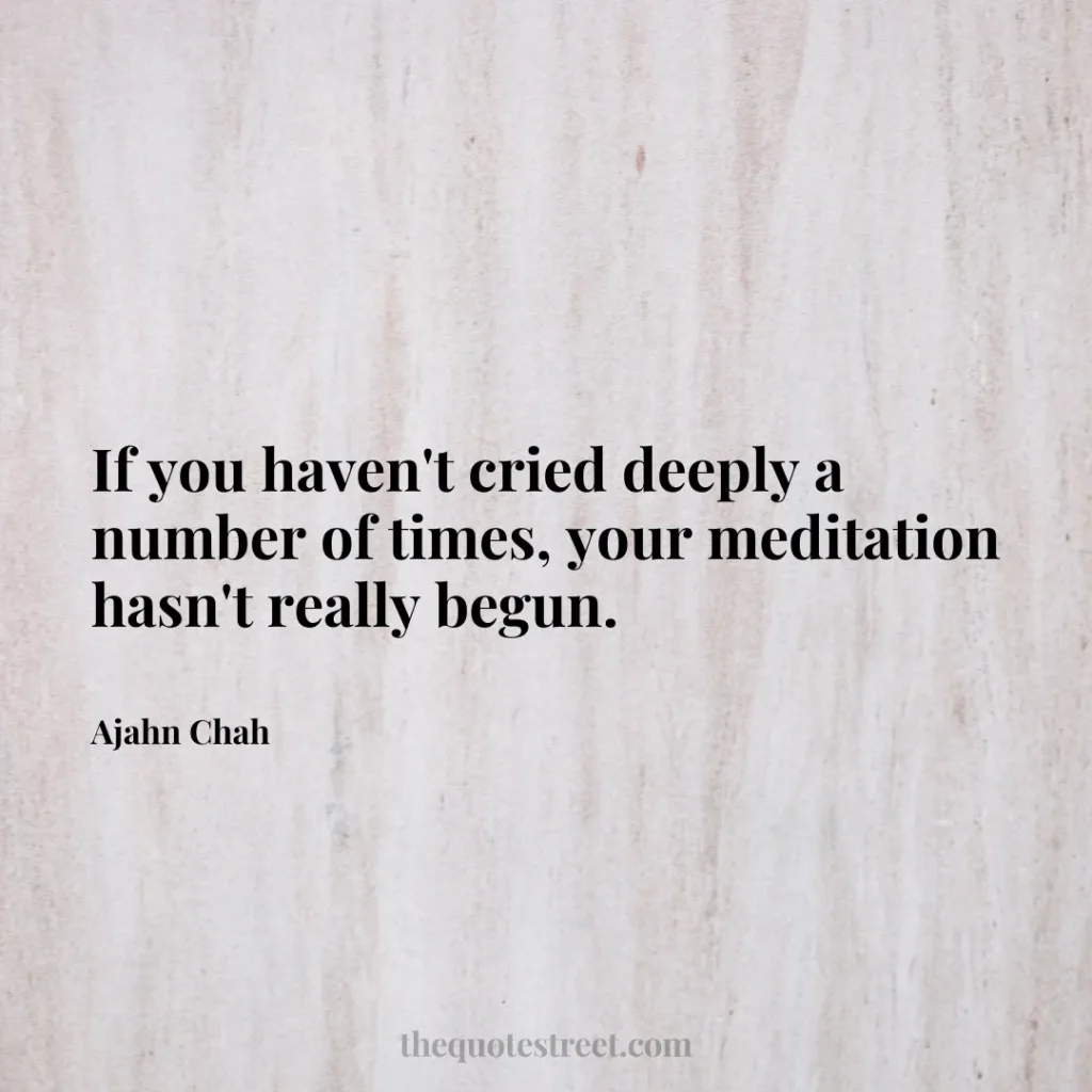 If you haven't cried deeply a number of times