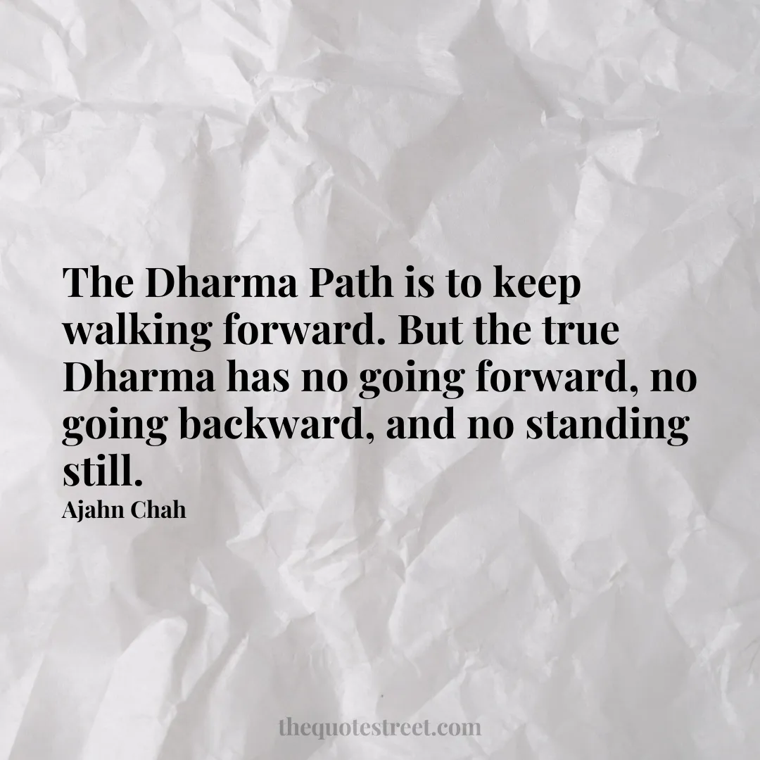 The Dharma Path is to keep walking forward. But the true Dharma has no going forward