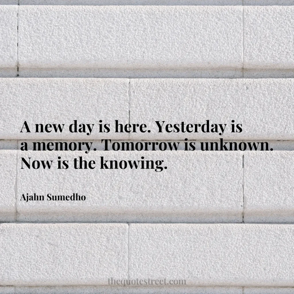 A new day is here. Yesterday is a memory. Tomorrow is unknown. Now is the knowing. - Ajahn Sumedho