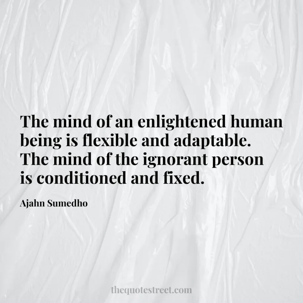 The mind of an enlightened human being is flexible and adaptable. The mind of the ignorant person is conditioned and fixed. - Ajahn Sumedho