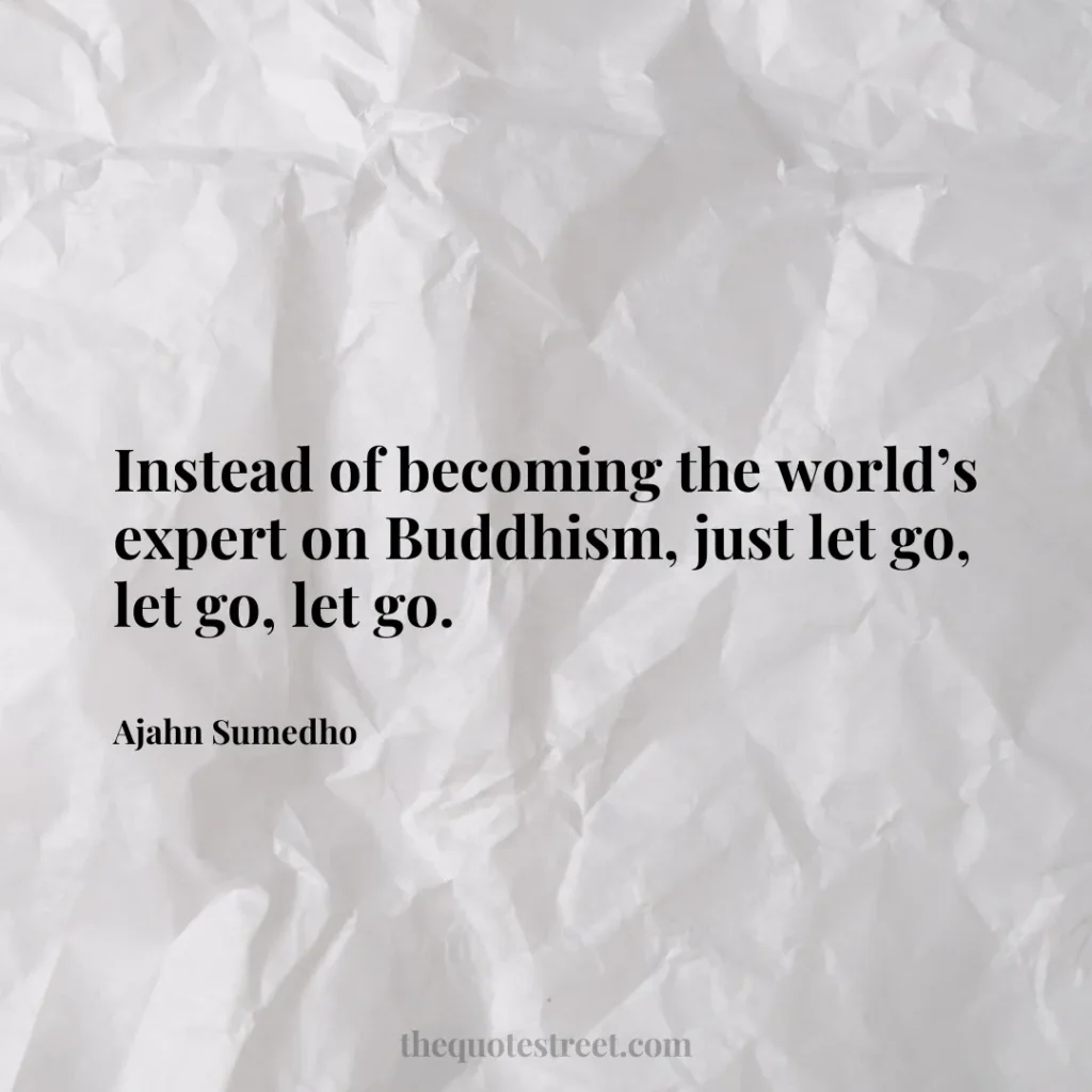 Instead of becoming the world’s expert on Buddhism