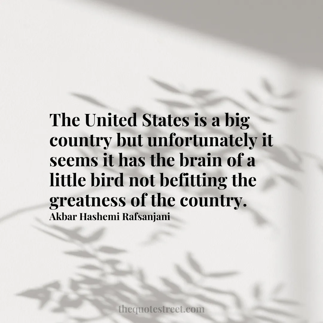 The United States is a big country but unfortunately it seems it has the brain of a little bird not befitting the greatness of the country. - Akbar Hashemi Rafsanjani