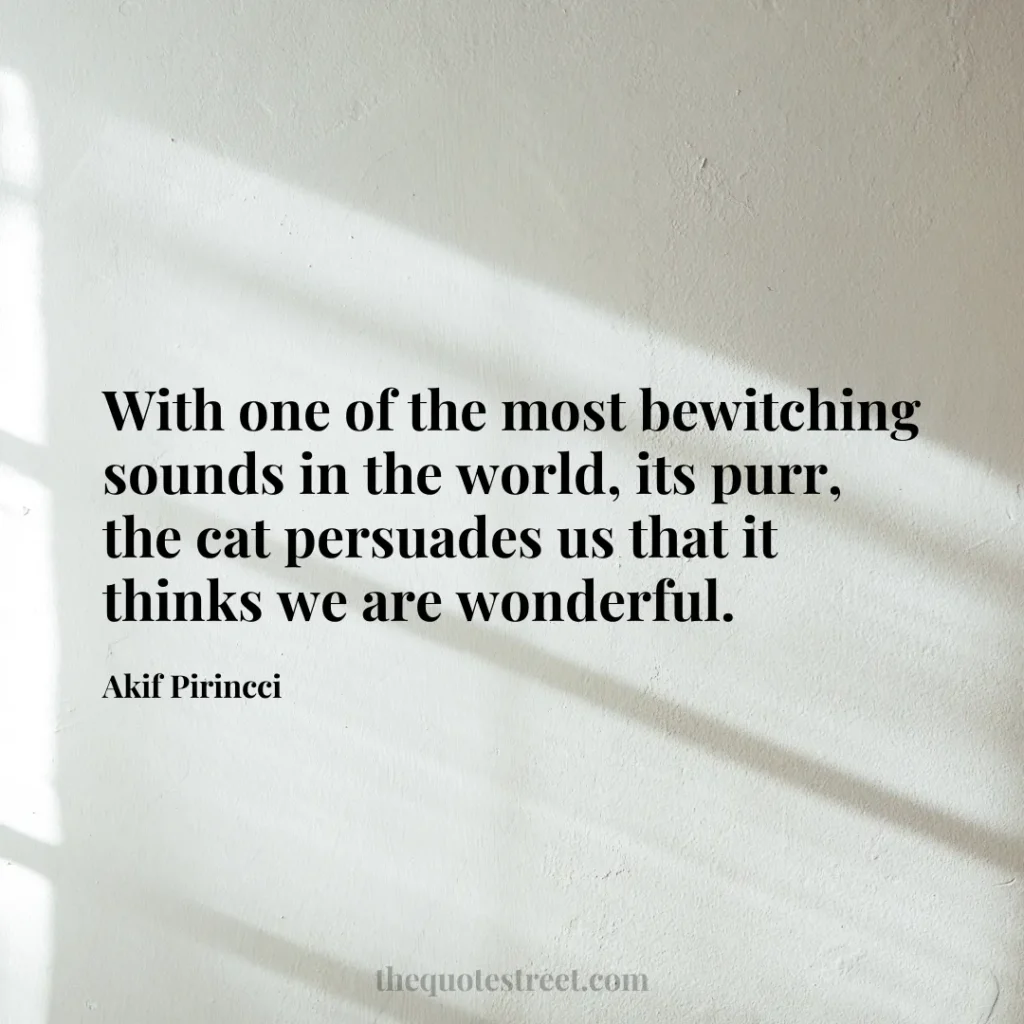 With one of the most bewitching sounds in the world