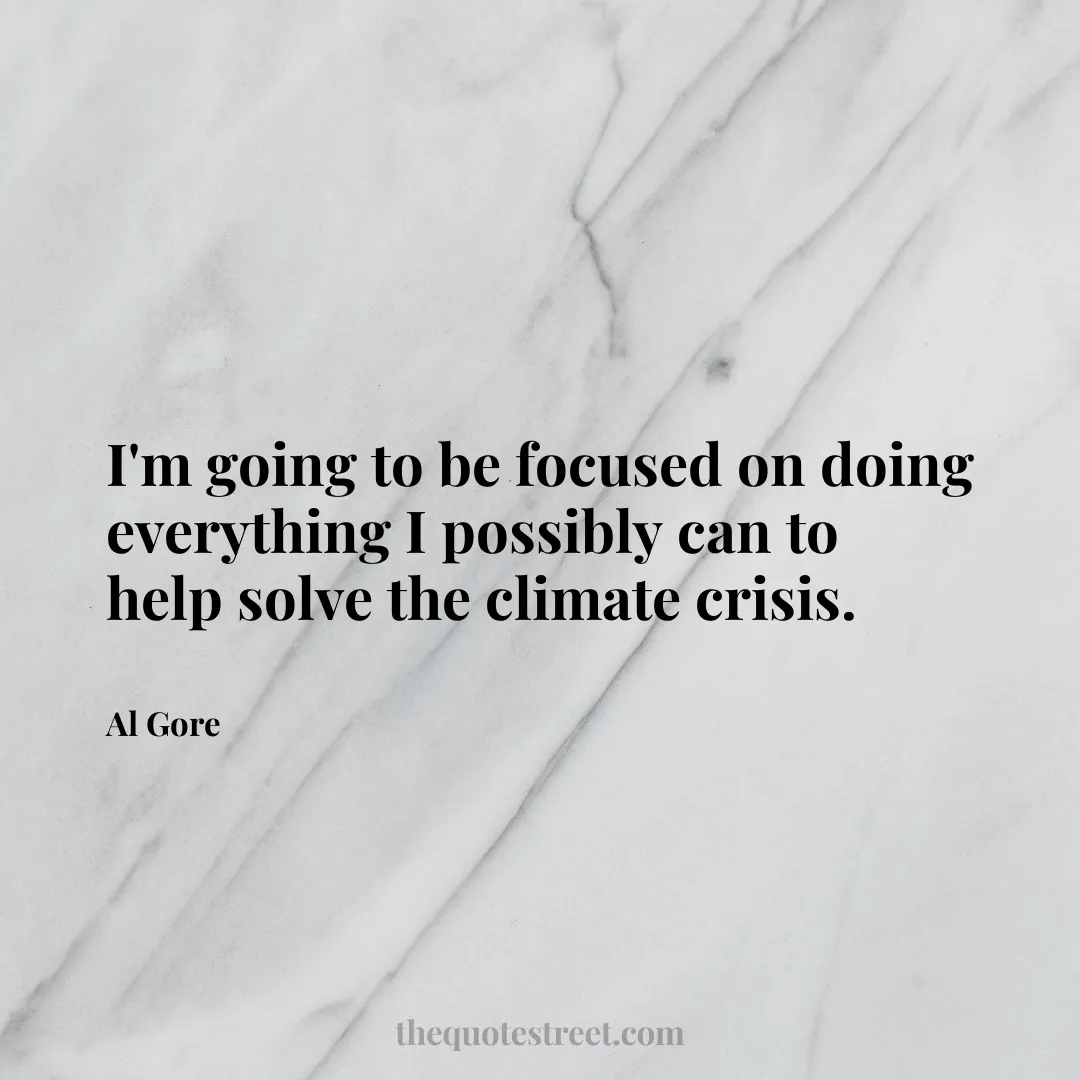 I'm going to be focused on doing everything I possibly can to help solve the climate crisis. - Al Gore