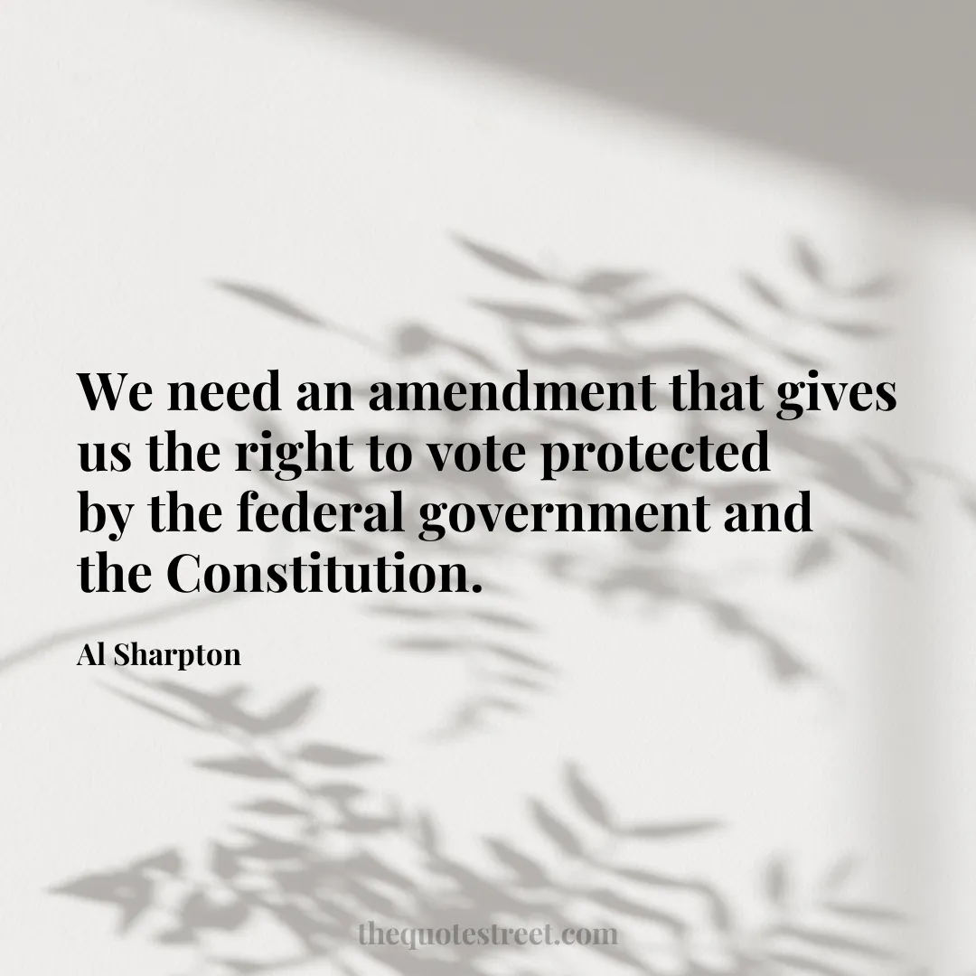 We need an amendment that gives us the right to vote protected by the federal government and the Constitution. - Al Sharpton