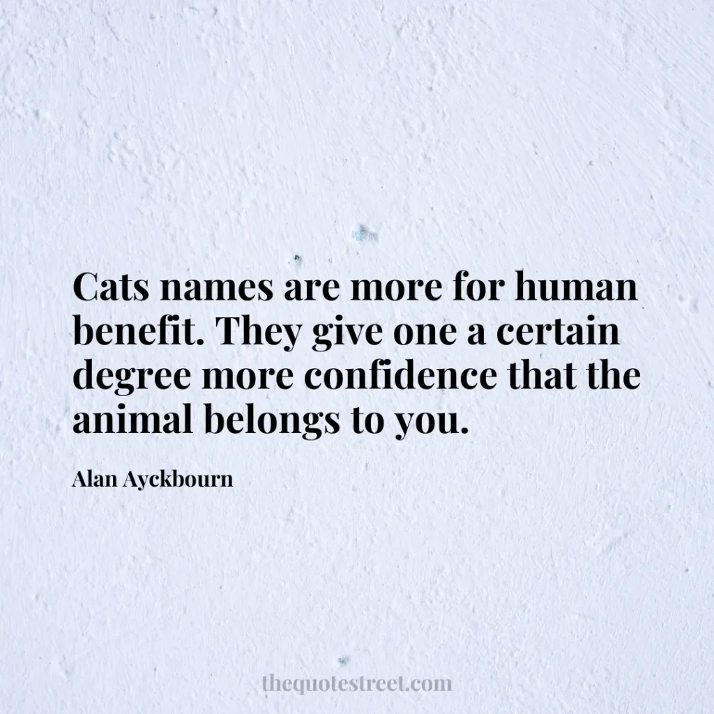 Cats names are more for human benefit. They give one a certain degree more confidence that the animal belongs to you. - Alan Ayckbourn
