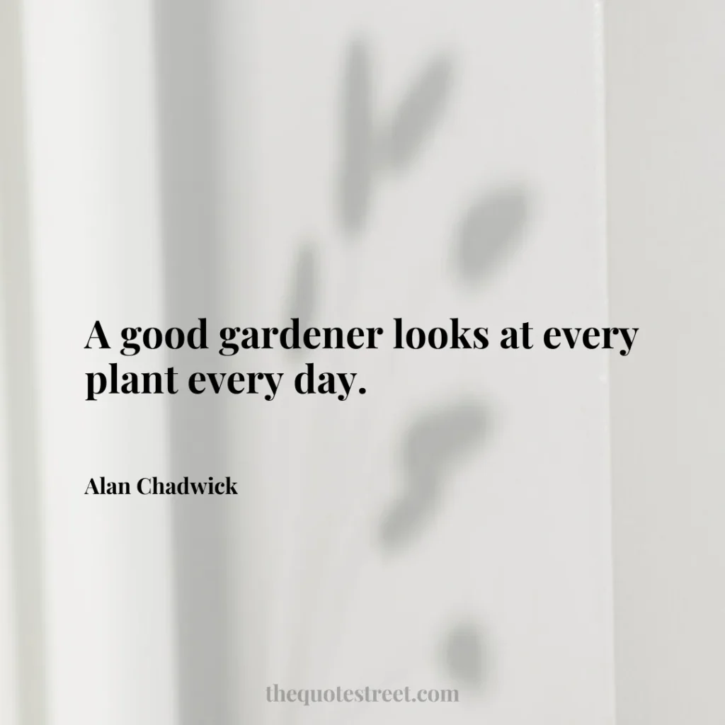 A good gardener looks at every plant every day. - Alan Chadwick
