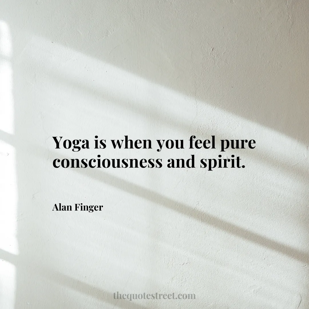 Yoga is when you feel pure consciousness and spirit. - Alan Finger