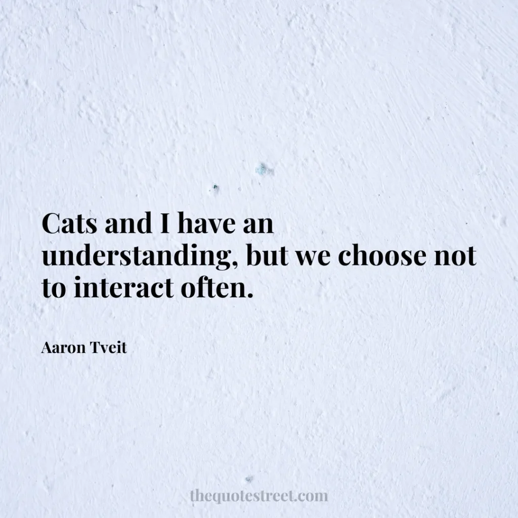 Cats and I have an understanding