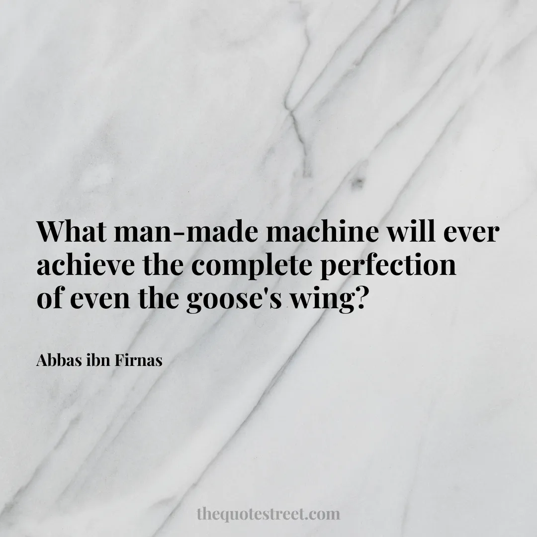 What man-made machine will ever achieve the complete perfection of even the goose's wing? - Abbas ibn Firnas