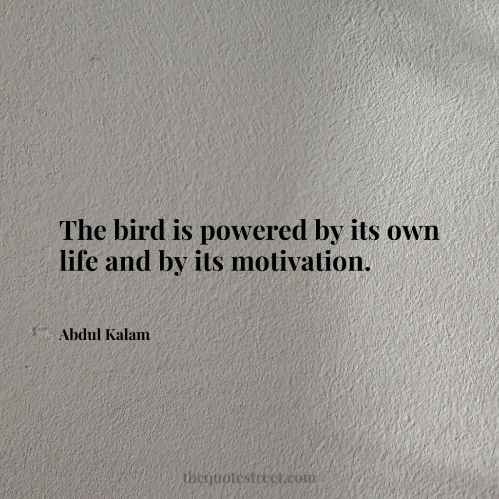 The bird is powered by its own life and by its motivation. - Abdul Kalam