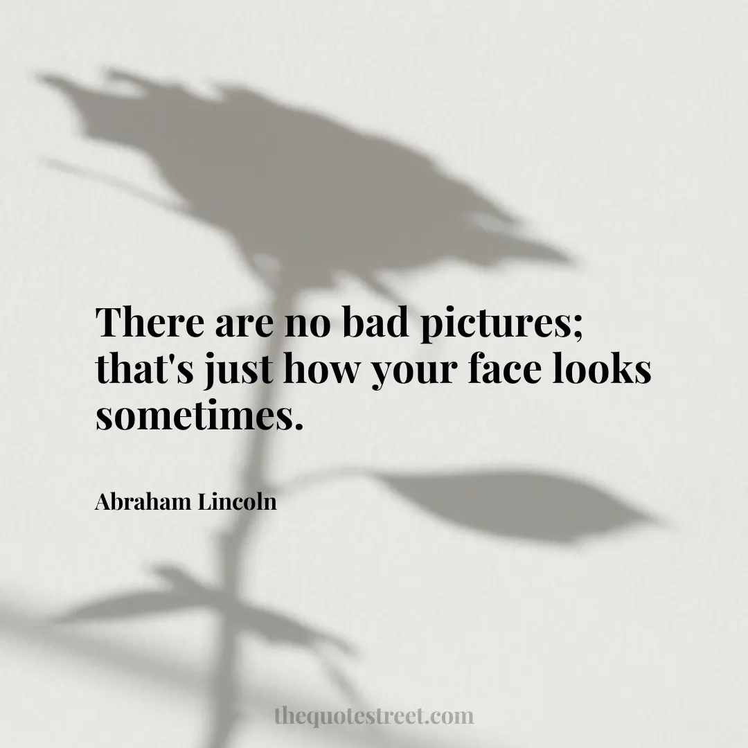 There are no bad pictures; that's just how your face looks sometimes. - Abraham Lincoln