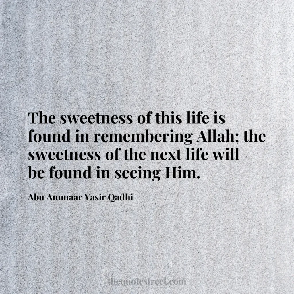 The sweetness of this life is found in remembering Allah; the sweetness of the next life will be found in seeing Him. - Abu Ammaar Yasir Qadhi