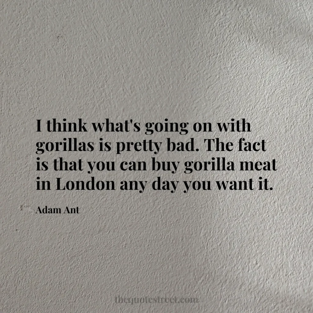 I think what's going on with gorillas is pretty bad. The fact is that you can buy gorilla meat in London any day you want it. - Adam Ant