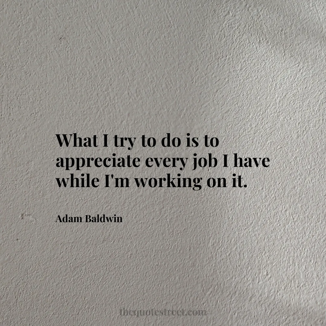 What I try to do is to appreciate every job I have while I'm working on it. - Adam Baldwin