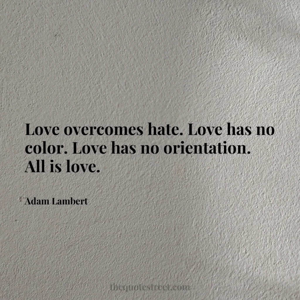 Love overcomes hate. Love has no color. Love has no orientation. All is love. - Adam Lambert
