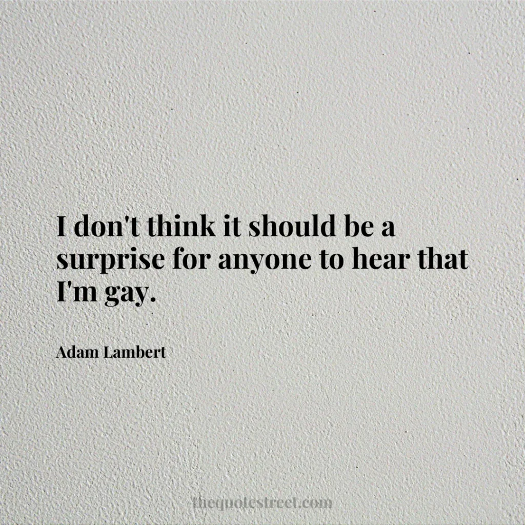 I don't think it should be a surprise for anyone to hear that I'm gay. - Adam Lambert