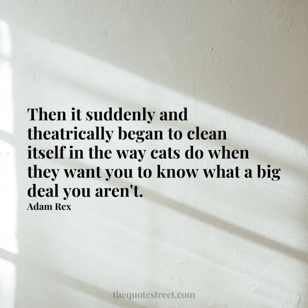 Then it suddenly and theatrically began to clean itself in the way cats do when they want you to know what a big deal you aren't. - Adam Rex