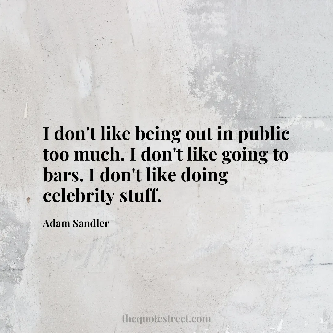 I don't like being out in public too much. I don't like going to bars. I don't like doing celebrity stuff. - Adam Sandler