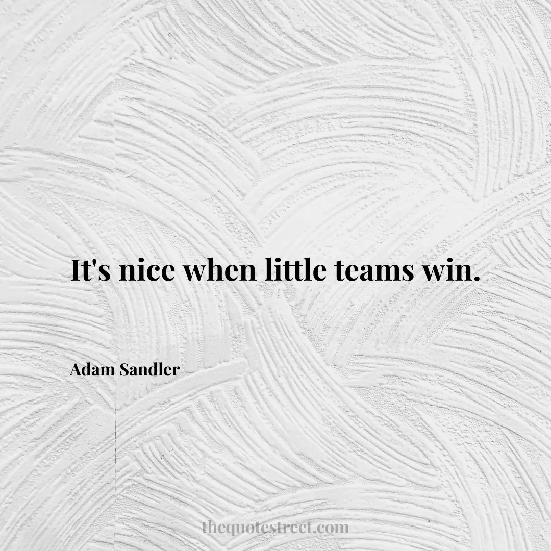 It's nice when little teams win. - Adam Sandler