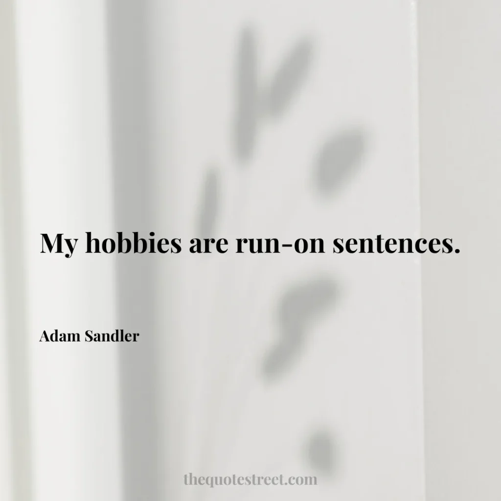 My hobbies are run-on sentences. - Adam Sandler