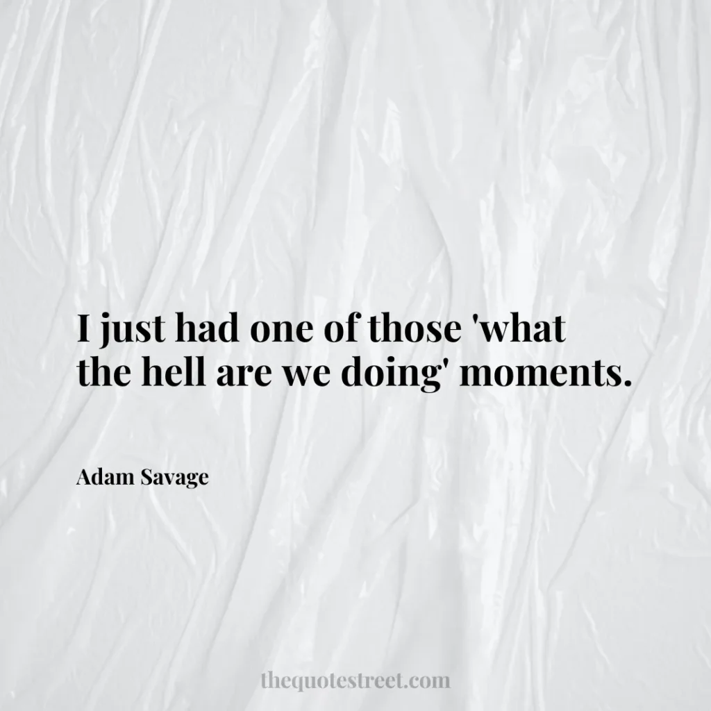 I just had one of those 'what the hell are we doing' moments. - Adam Savage