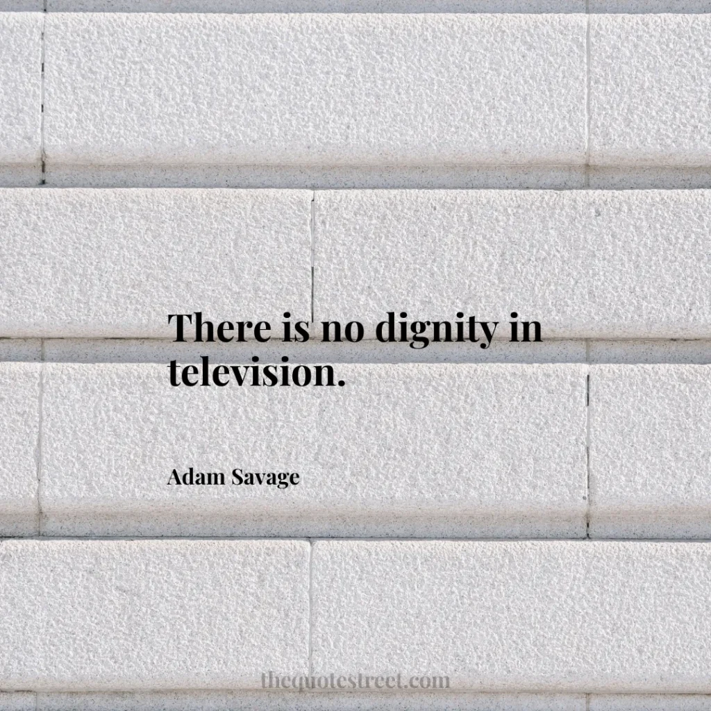 There is no dignity in television. - Adam Savage