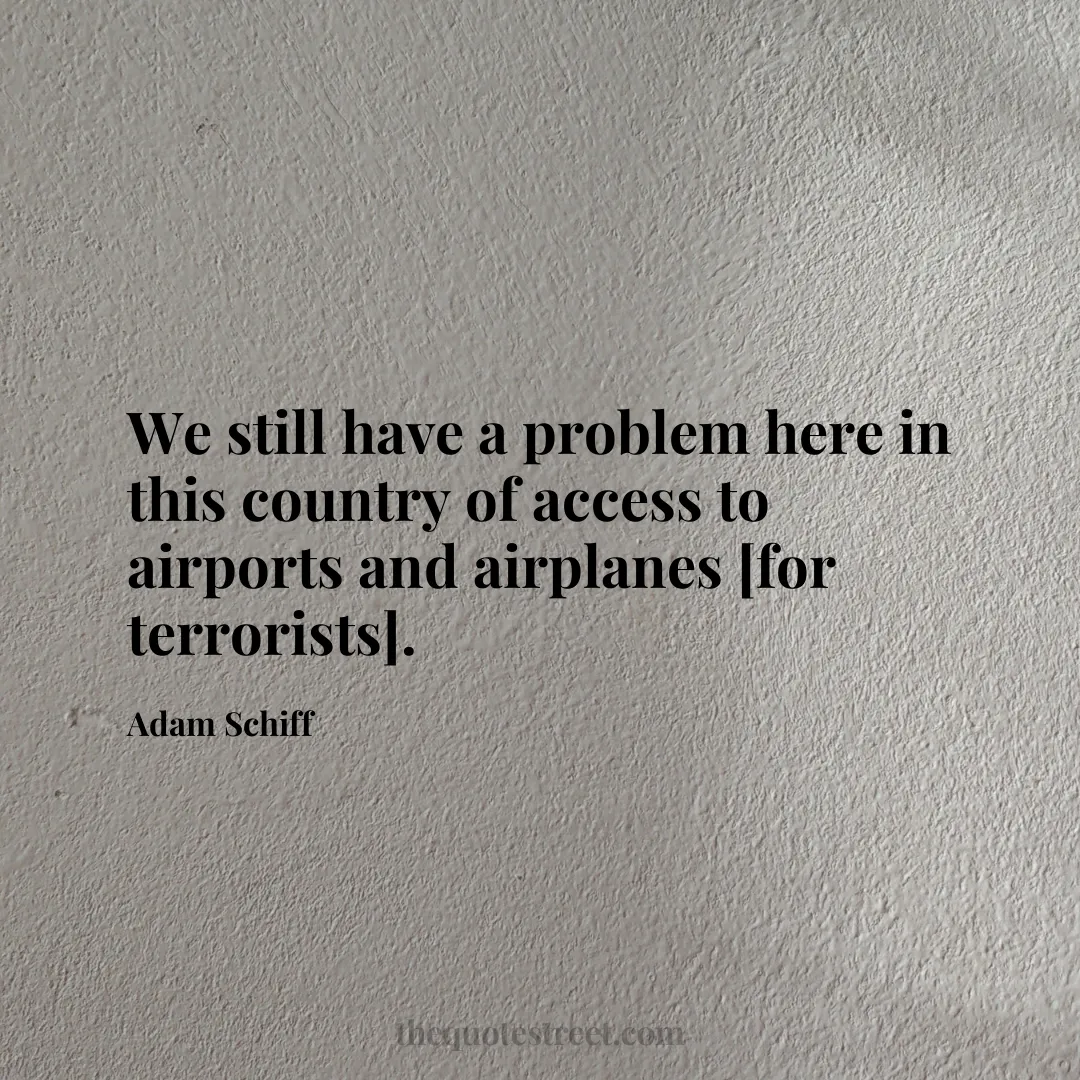 We still have a problem here in this country of access to airports and airplanes [for terrorists]. - Adam Schiff