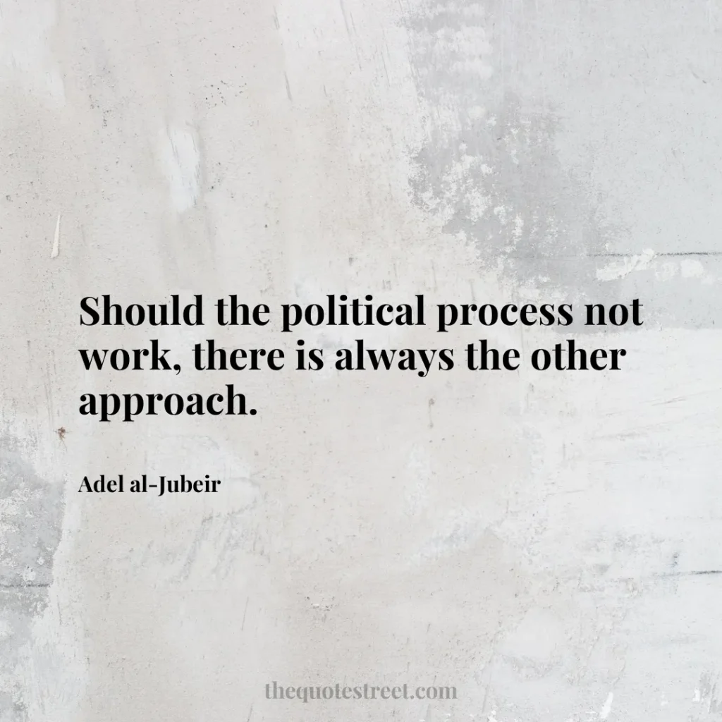 Should the political process not work