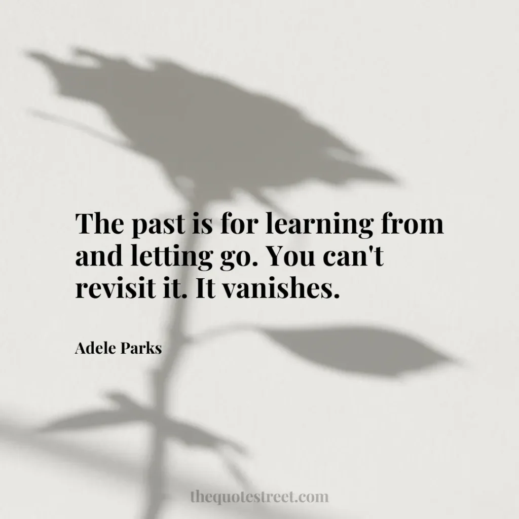 The past is for learning from and letting go. You can't revisit it. It vanishes. - Adele Parks