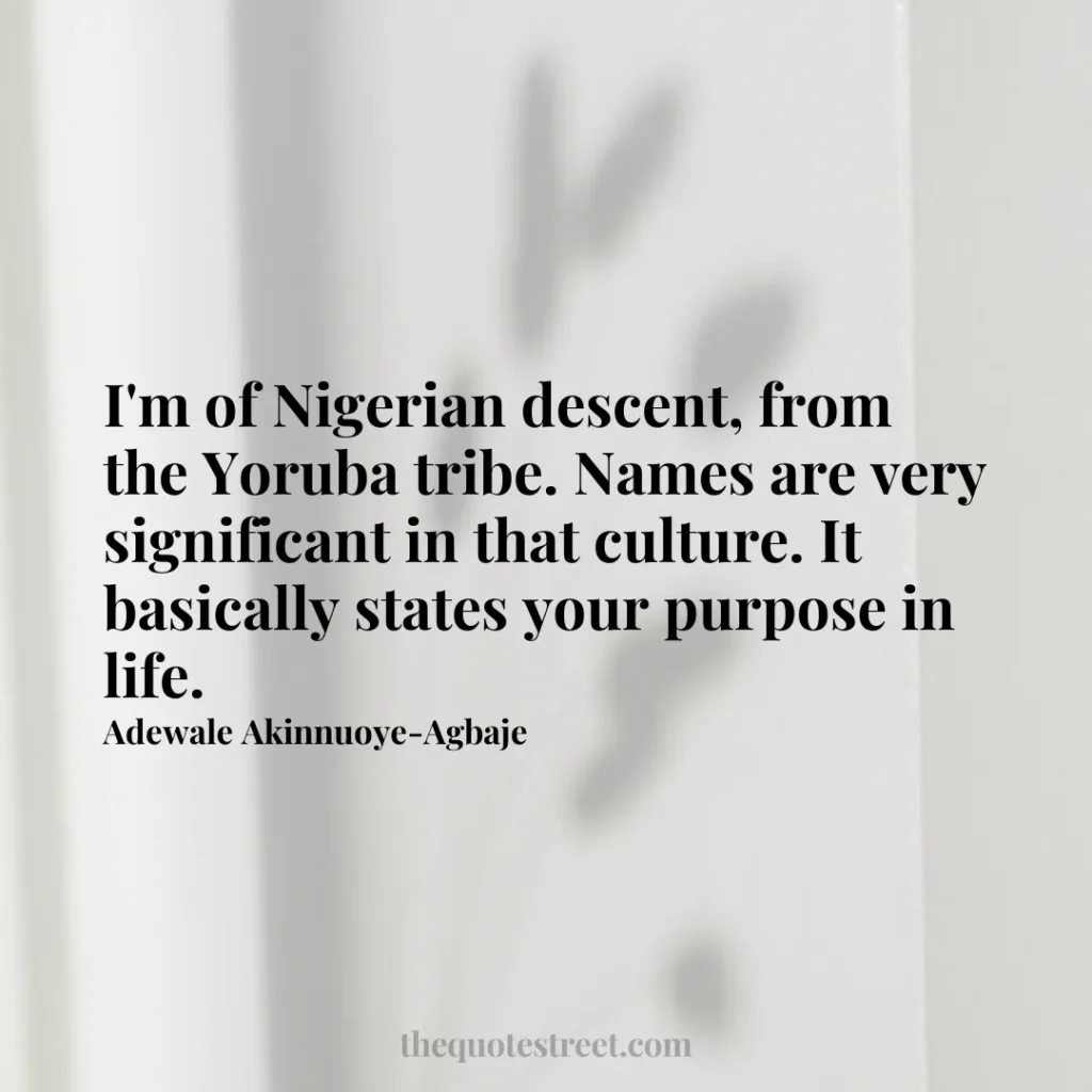 I'm of Nigerian descent