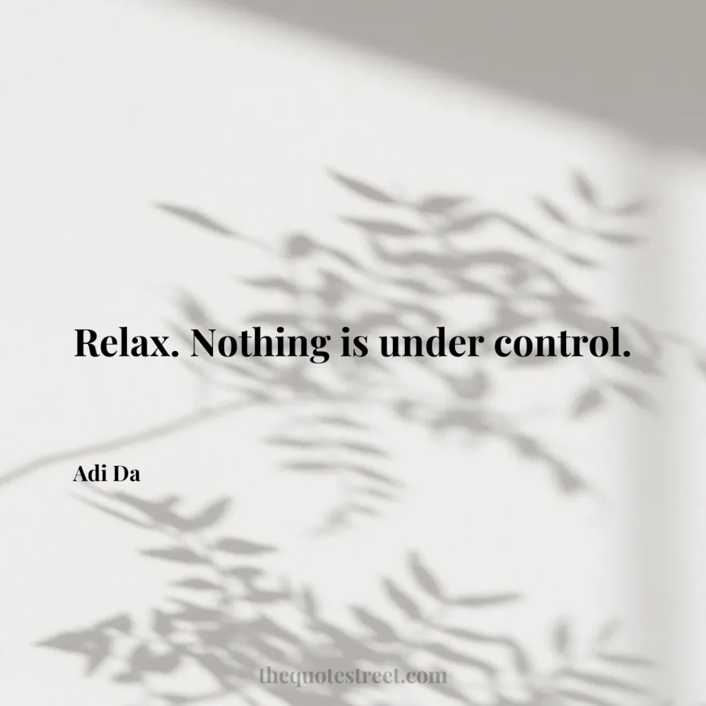 Relax. Nothing is under control. - Adi Da