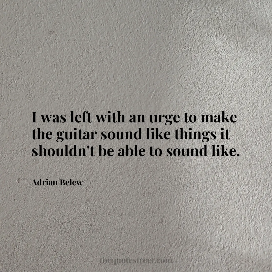 I was left with an urge to make the guitar sound like things it shouldn't be able to sound like. - Adrian Belew