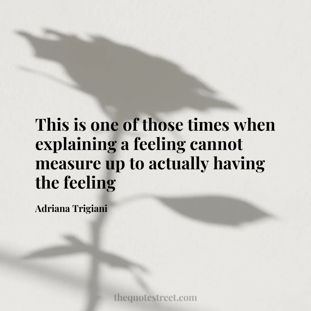 This is one of those times when explaining a feeling cannot measure up to actually having the feeling - Adriana Trigiani