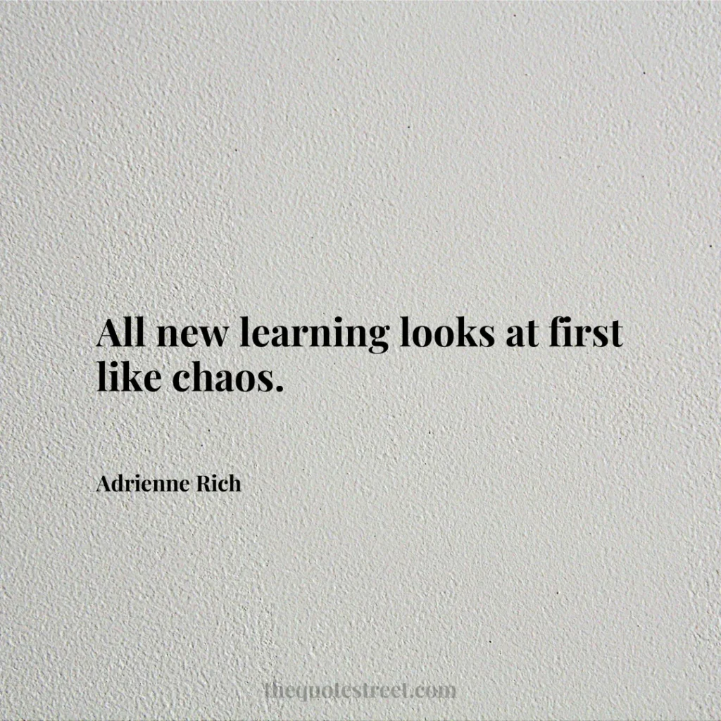 All new learning looks at first like chaos. - Adrienne Rich