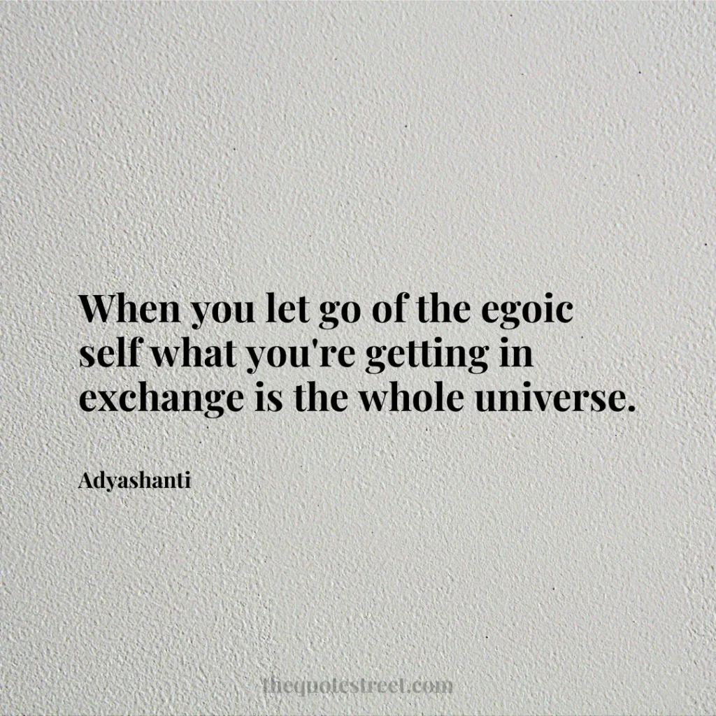 When you let go of the egoic self what you're getting in exchange is the whole universe. - Adyashanti