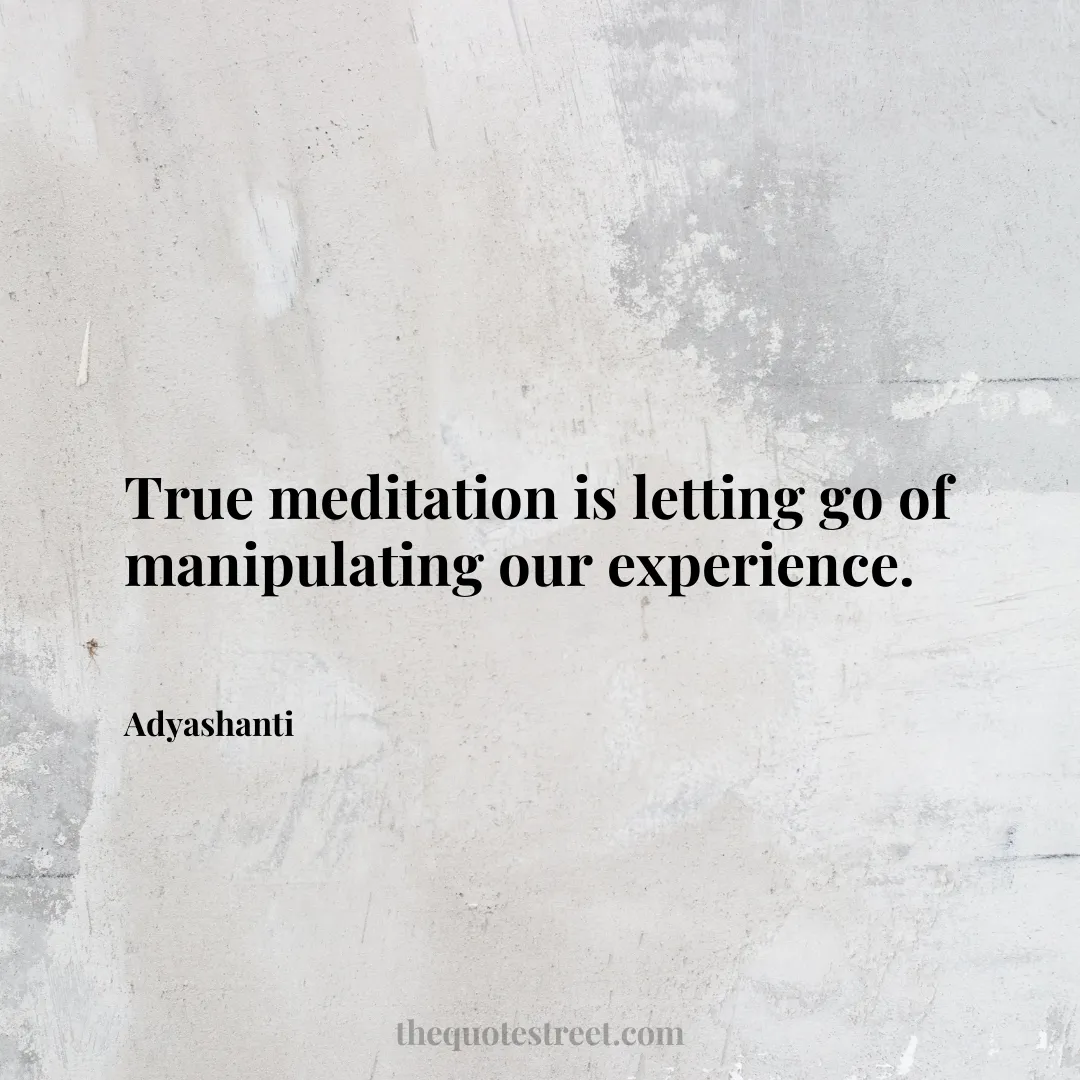 True meditation is letting go of manipulating our experience. - Adyashanti