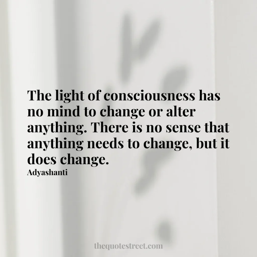 The light of consciousness has no mind to change or alter anything. There is no sense that anything needs to change