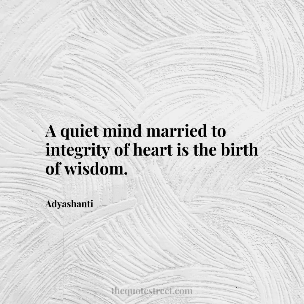 A quiet mind married to integrity of heart is the birth of wisdom. - Adyashanti