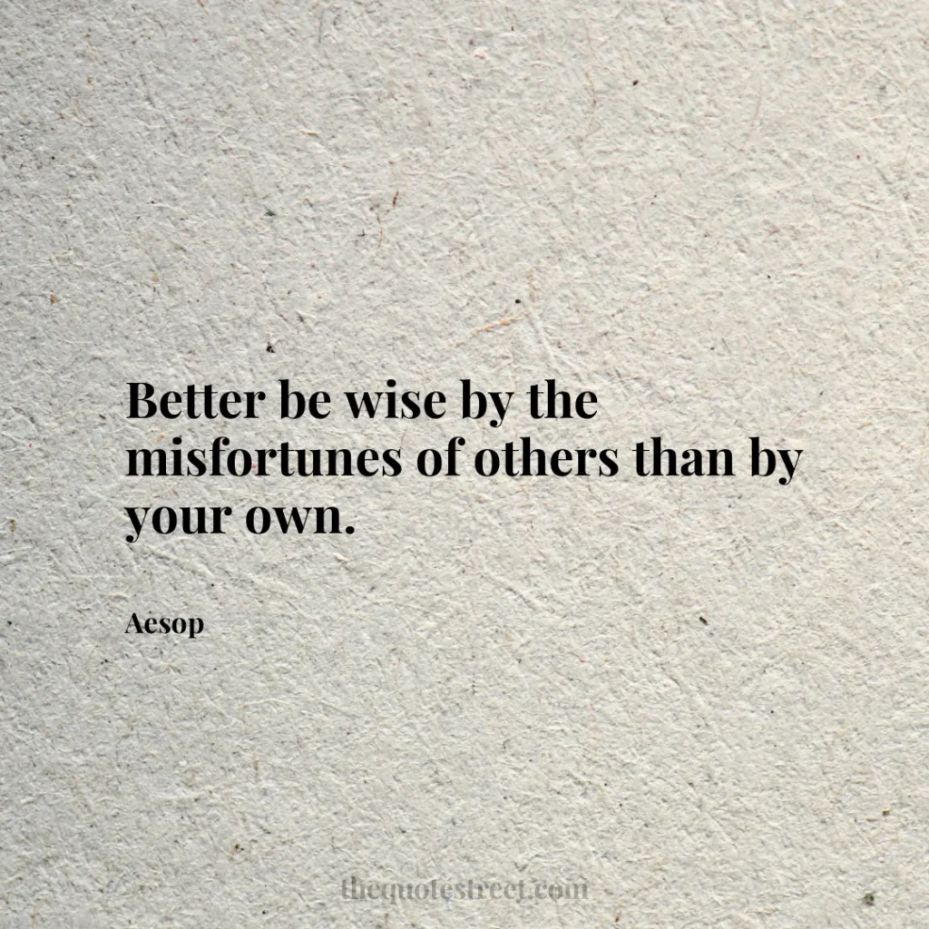 Better be wise by the misfortunes of others than by your own. - Aesop