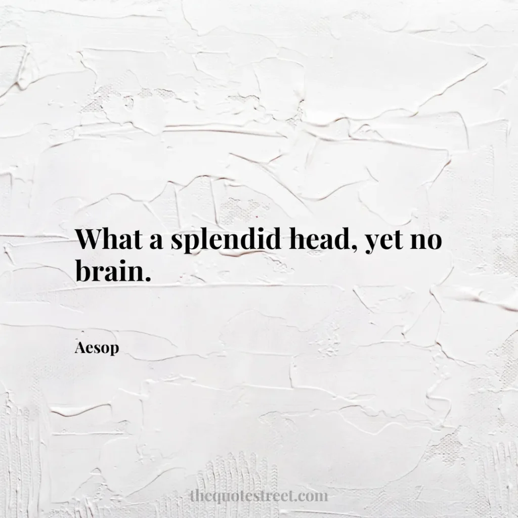 What a splendid head