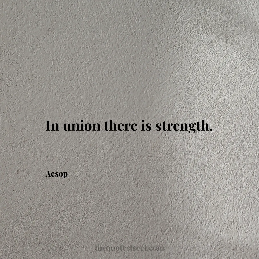 In union there is strength. - Aesop