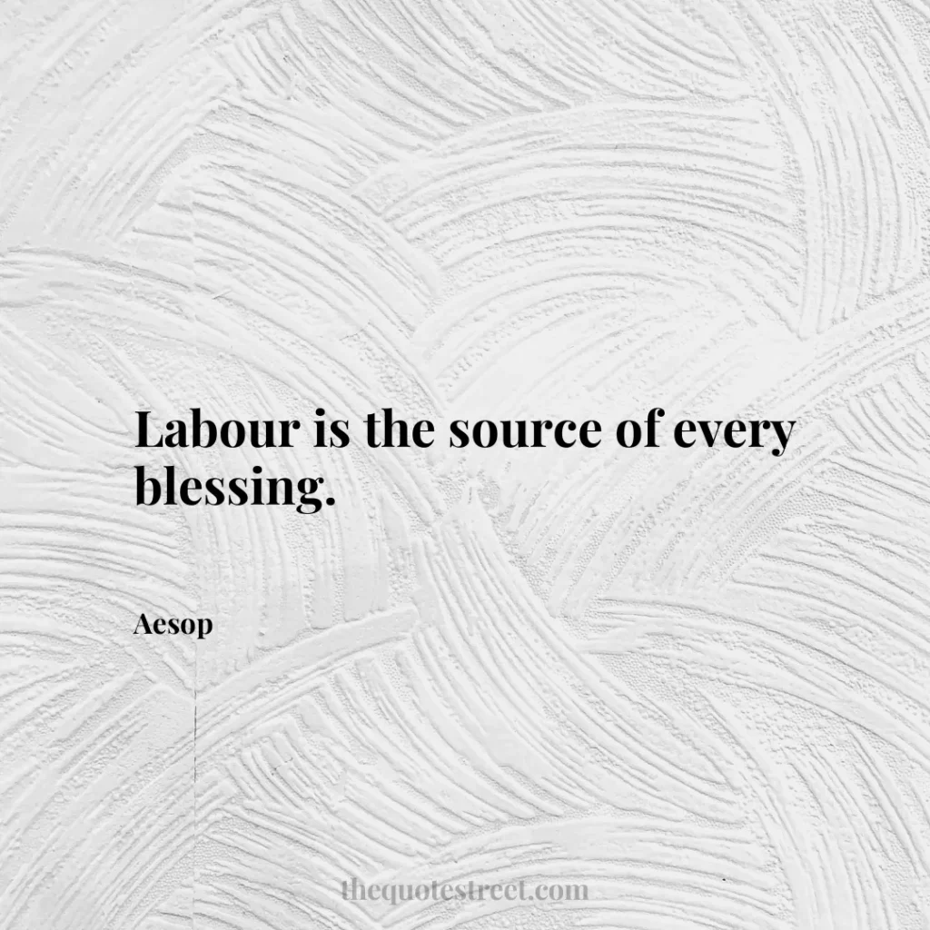 Labour is the source of every blessing. - Aesop