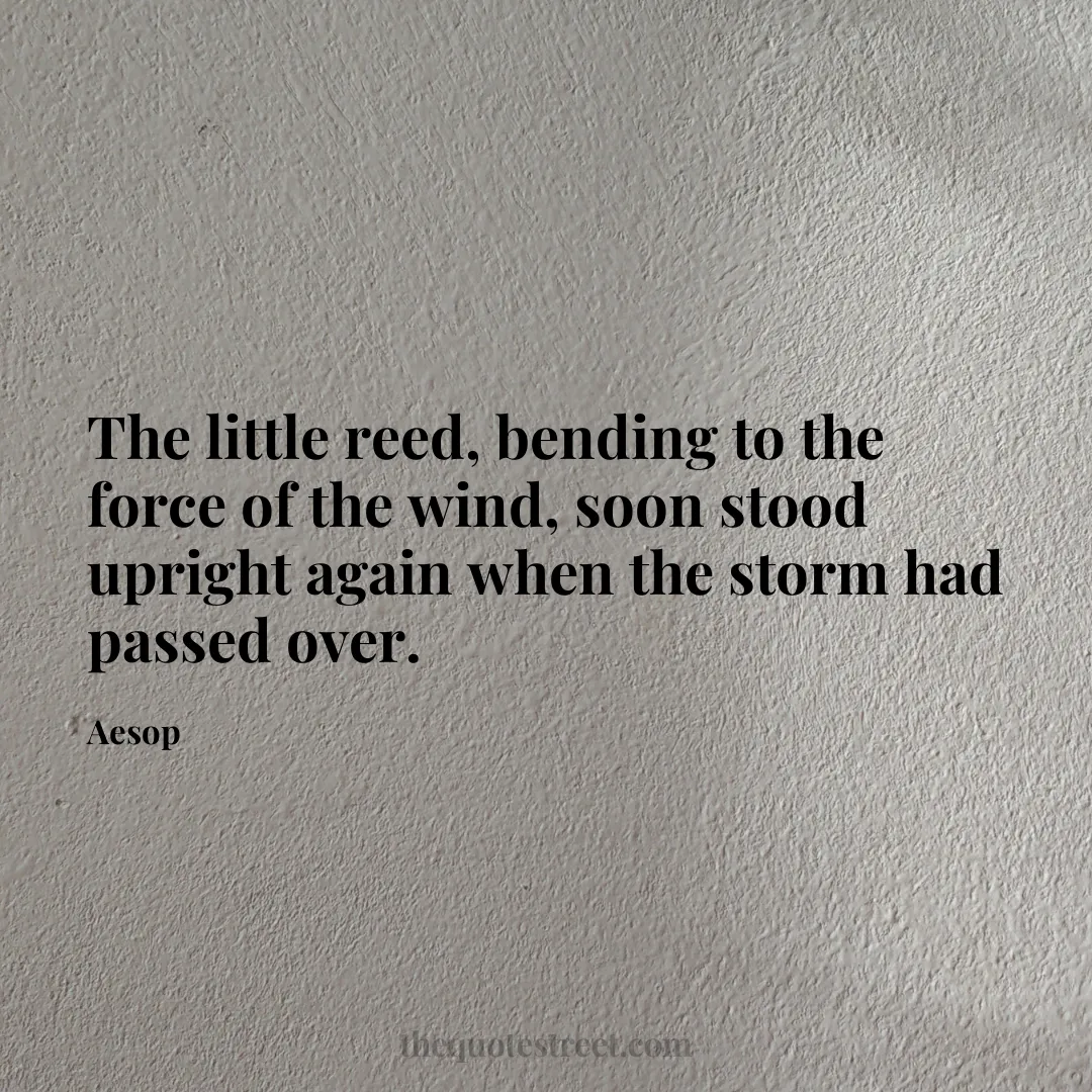 The little reed