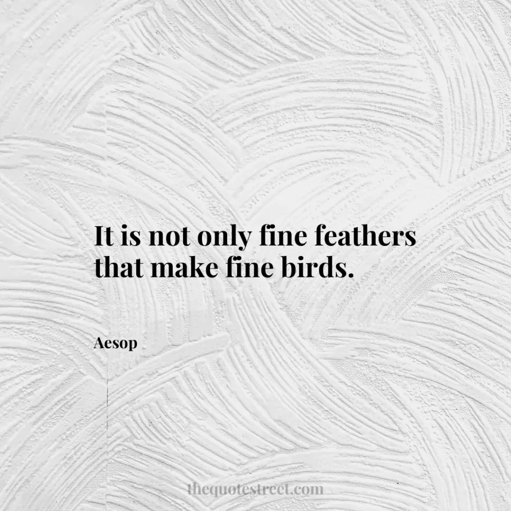 It is not only fine feathers that make fine birds. - Aesop