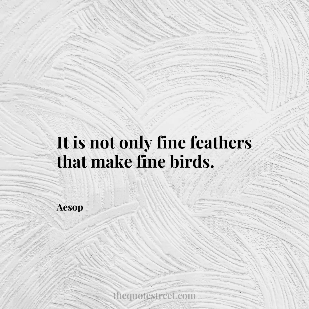 It is not only fine feathers that make fine birds. - Aesop