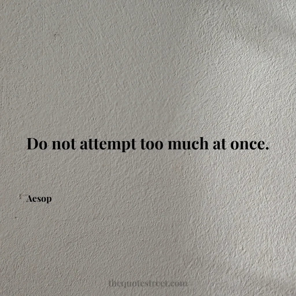 Do not attempt too much at once. - Aesop