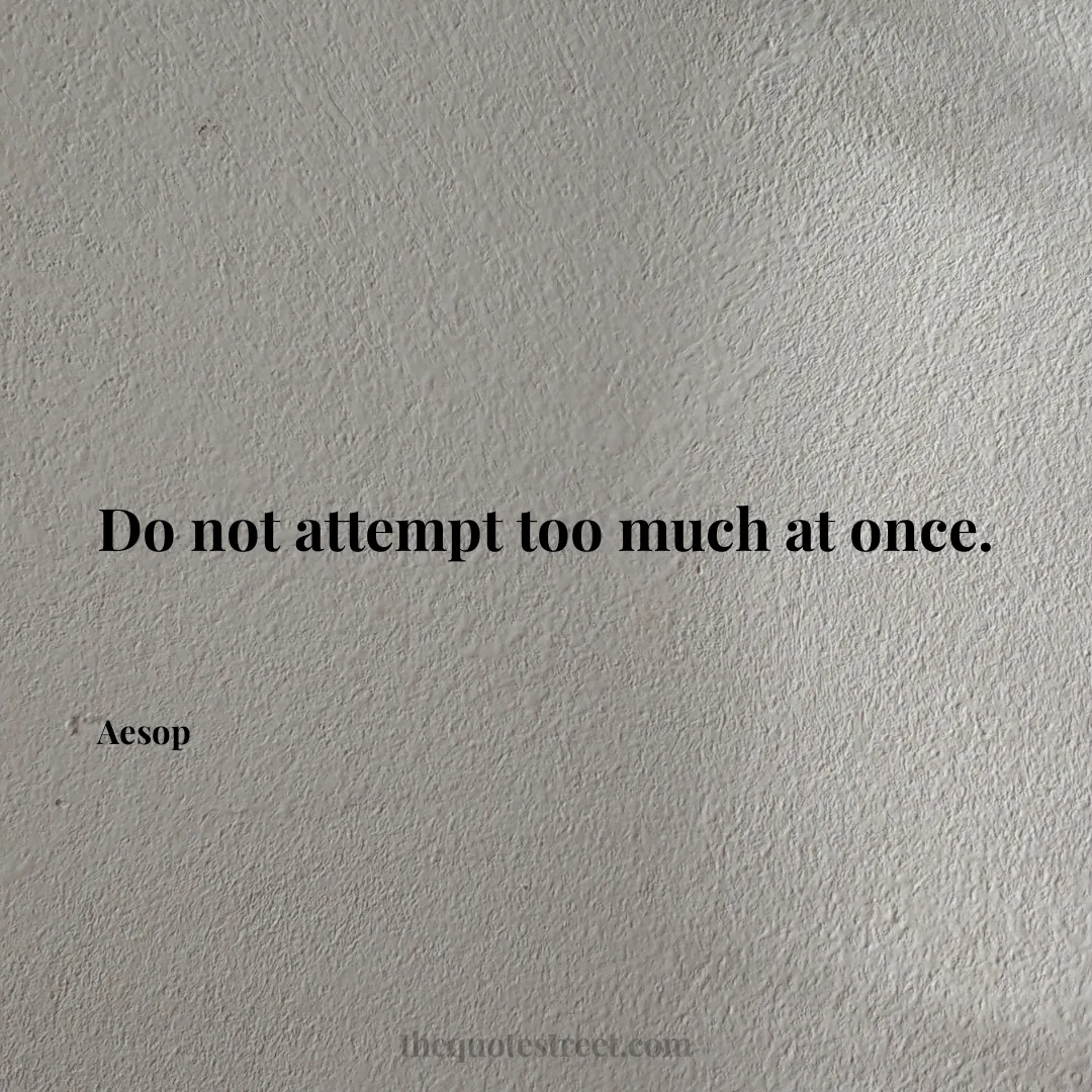 Do not attempt too much at once. - Aesop